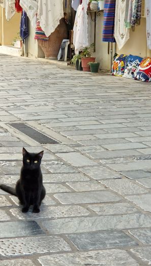 Whatcha' eatin'? I wants!