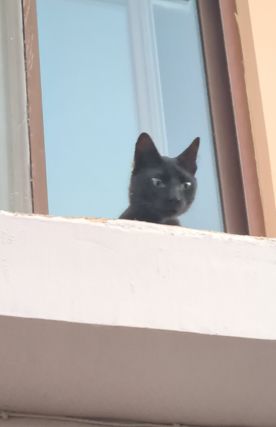 Oh, boy! look at all that yummy food