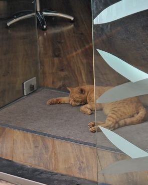 Food or you won't have your hair/nails done today